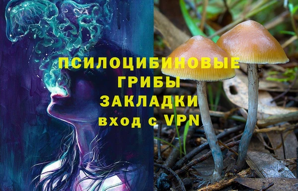 мяу мяу кристалл Алексин