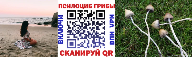 MEGA как зайти Луза Галлюциногенные грибы GOLDEN TEACHER сколько стоит