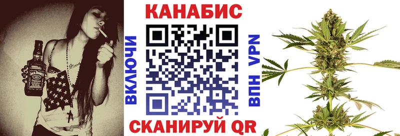 Бошки Шишки MAZAR Луза